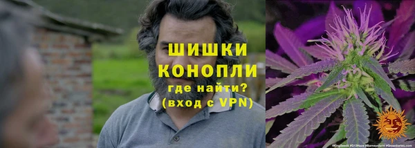 хмурый Покачи