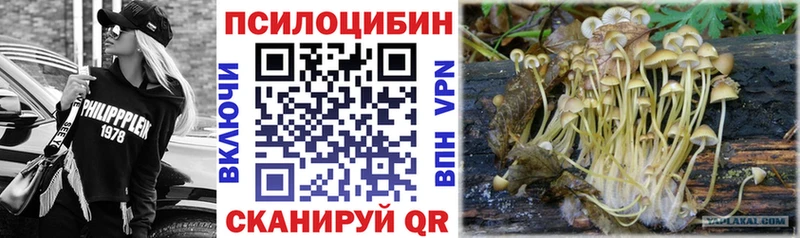 MEGA ТОР где продают наркотики Кохма Галлюциногенные грибы Cubensis